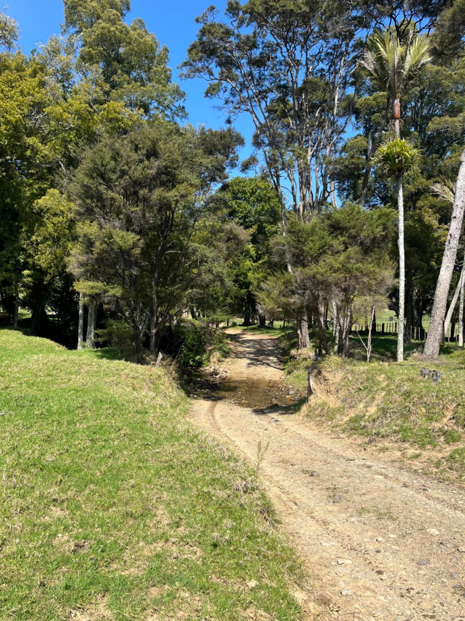 White Star Station Farm Holiday Park Coromandel Eksteriør billede