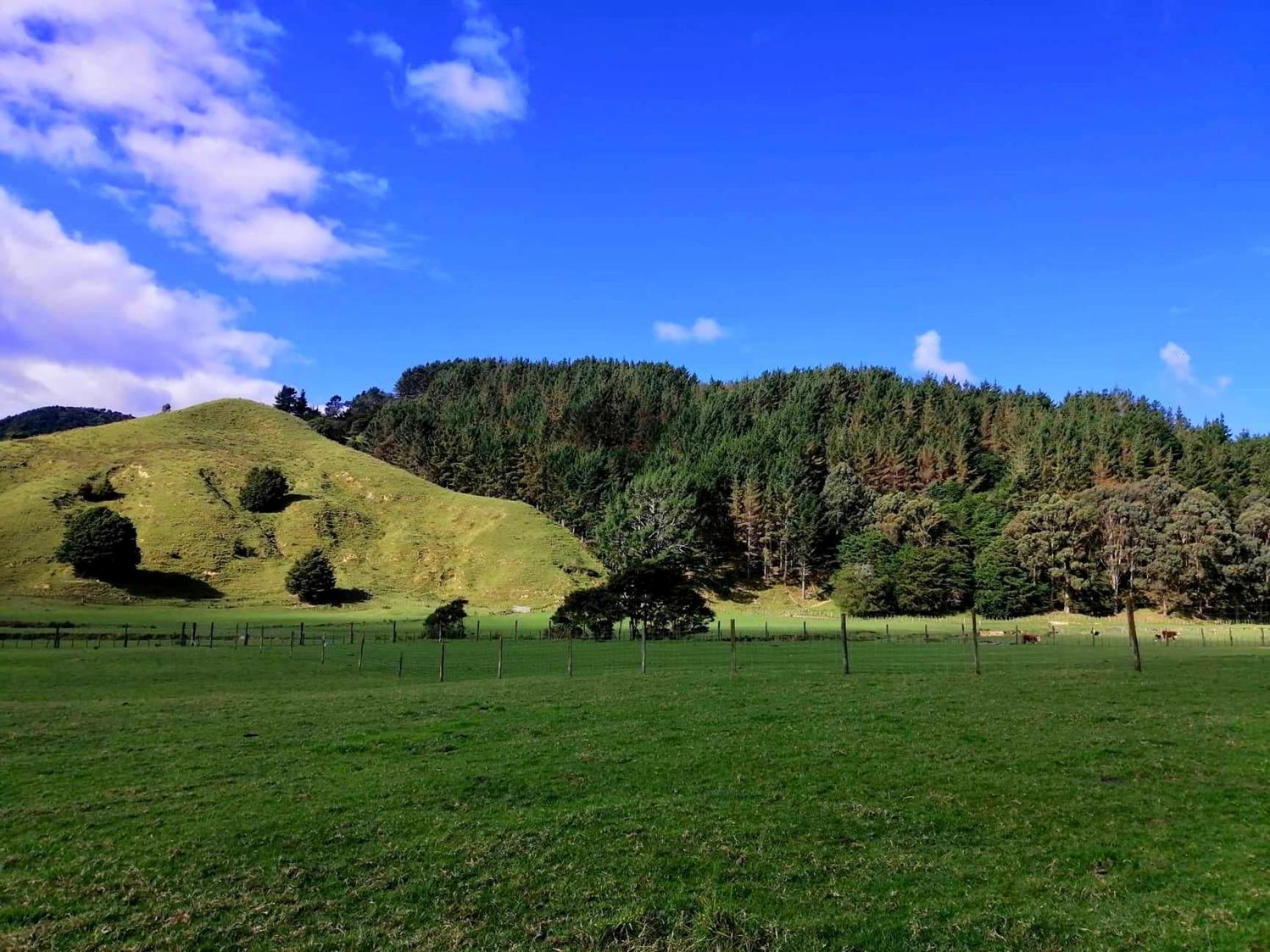 White Star Station Farm Holiday Park Coromandel Eksteriør billede